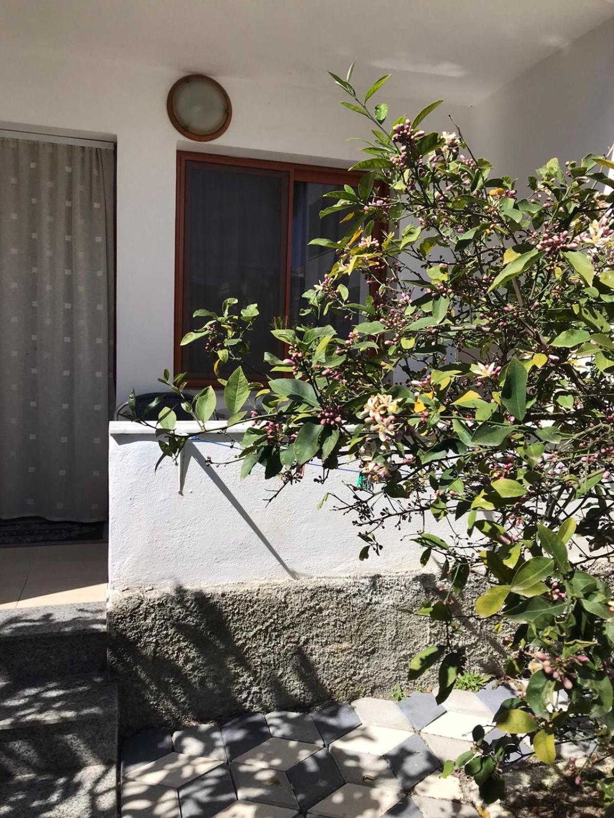 Vila Cano Hotel Durrës Buitenkant foto